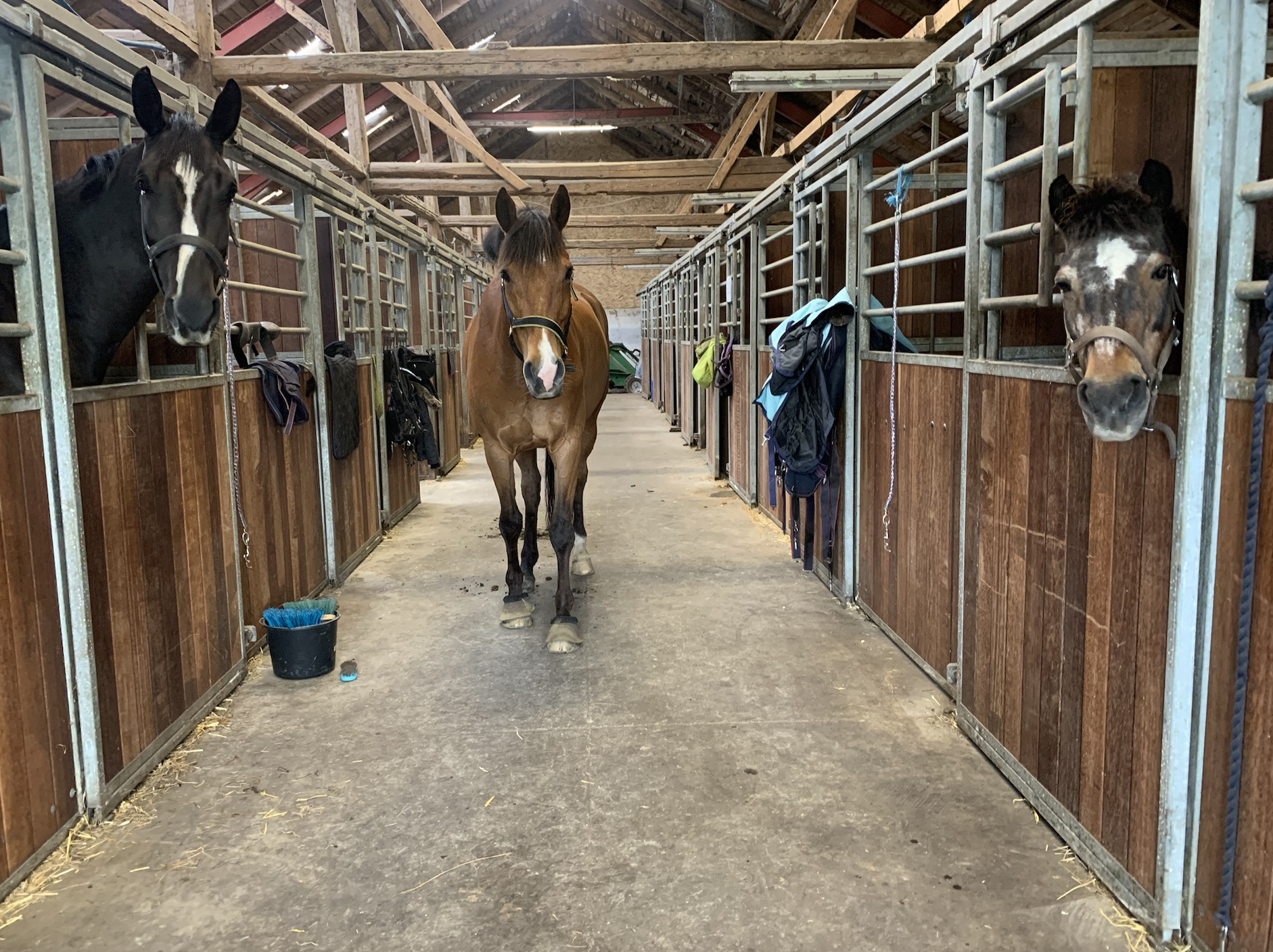 Verona, Lambada, Buller